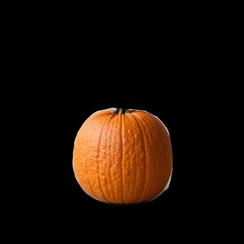 The same pumpkin cut out of its background, alone on black, the floor and the wall gone