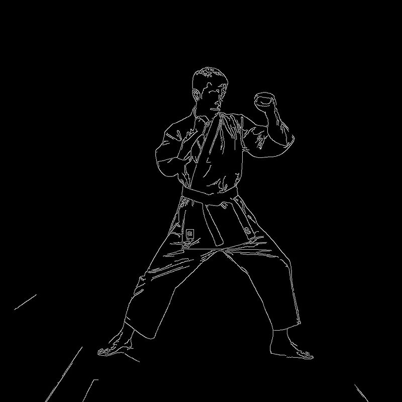 The same frame reduced to white outlines on black — the folds of the gi, the belt, the edge of the floor